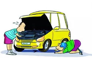 出租汽車規(guī)范運(yùn)營(yíng)與文明駕駛要求